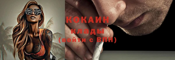 jwh Новозыбков
