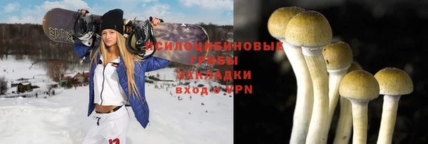 ГАЛЛЮЦИНОГЕННЫЕ ГРИБЫ Новодвинск