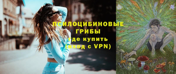 ГАЛЛЮЦИНОГЕННЫЕ ГРИБЫ Новодвинск