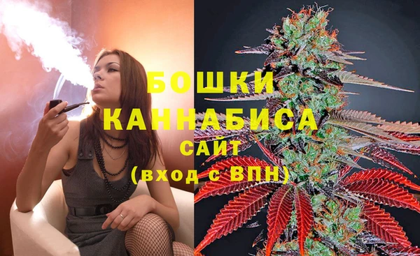 ГАЛЛЮЦИНОГЕННЫЕ ГРИБЫ Апатиты