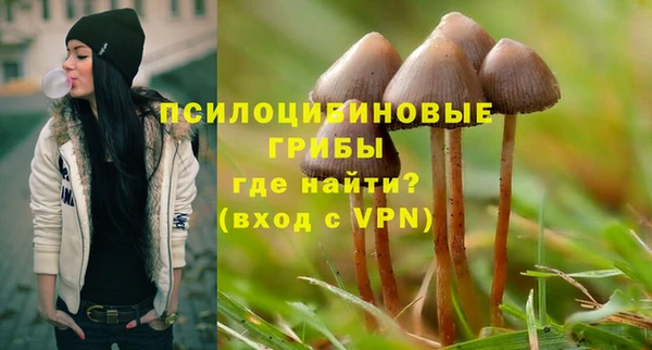 трава Новокубанск