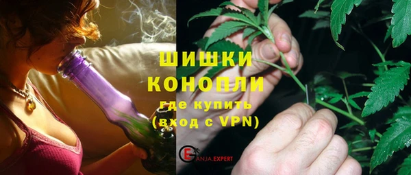 ГАЛЛЮЦИНОГЕННЫЕ ГРИБЫ Новодвинск